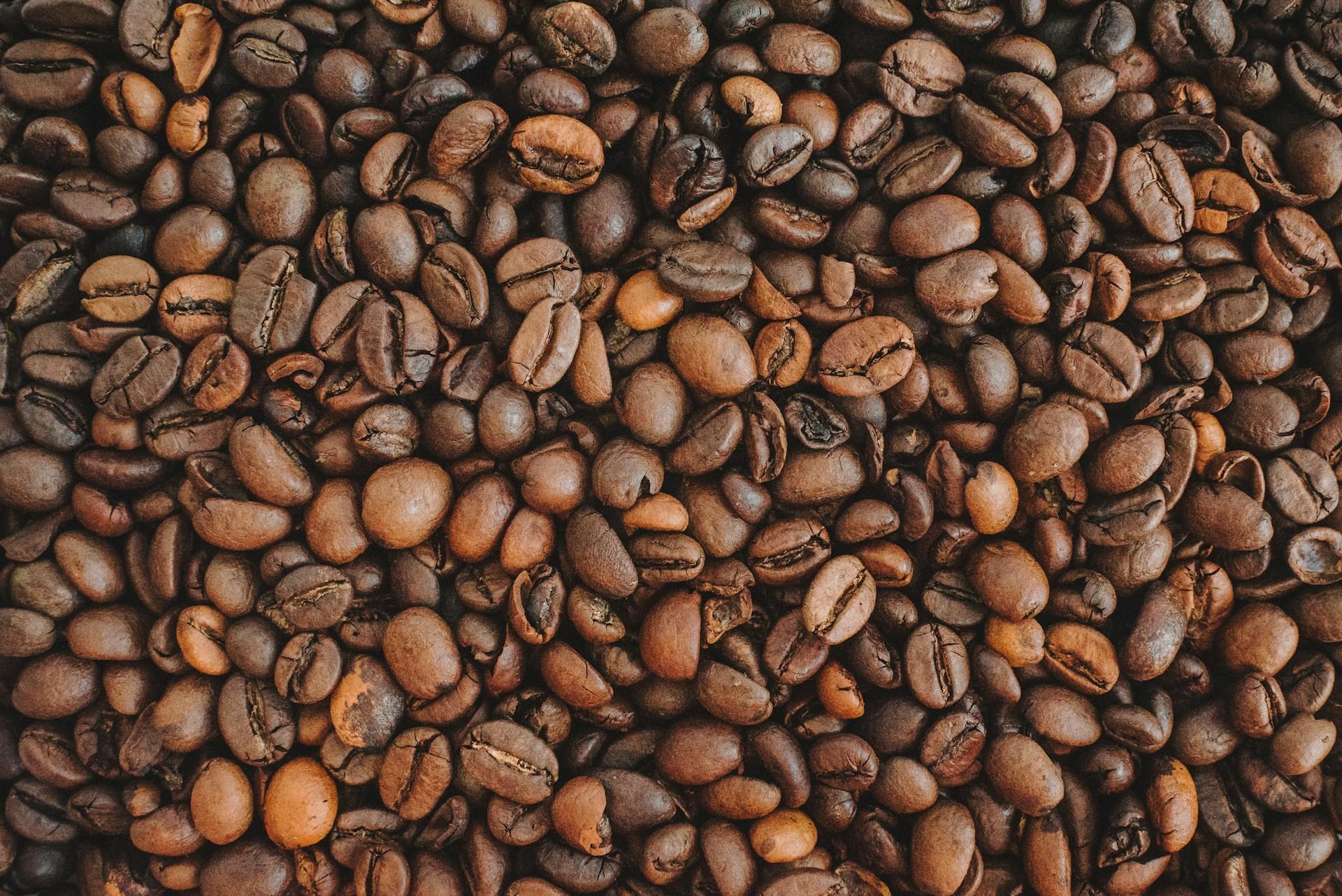قهوه روبوستا چری هند مدیوم دارک